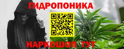 эйфоретик Малгобек